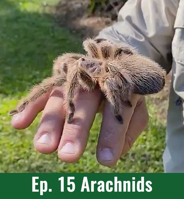 Ep.15