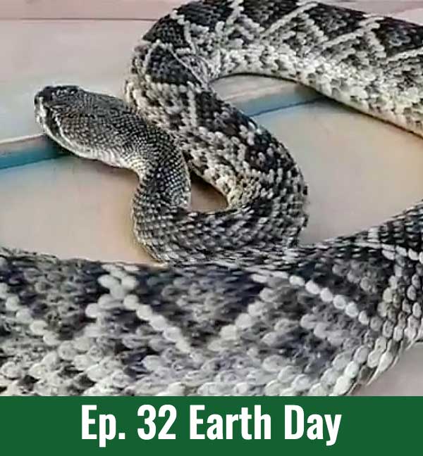 School of Croc Ep. 32 Earth Day