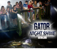 Gator Night Shine at Gatorland