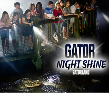 Gator Night Shine at Gatorland