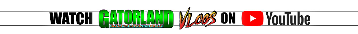 Vlog Top