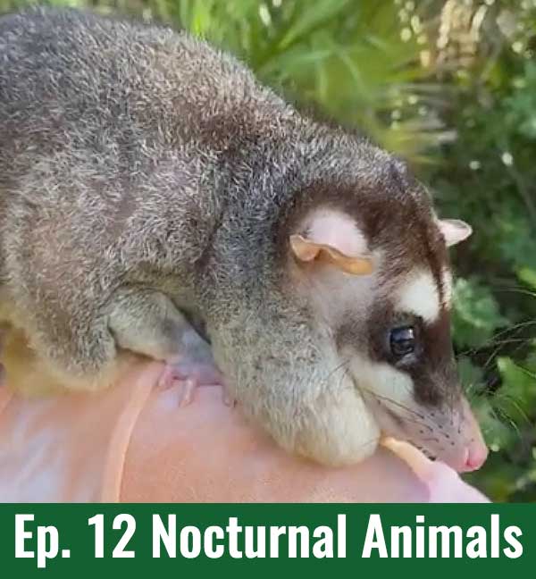 Ep.12