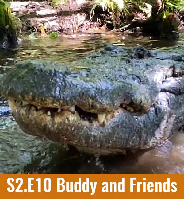 buddy and friends