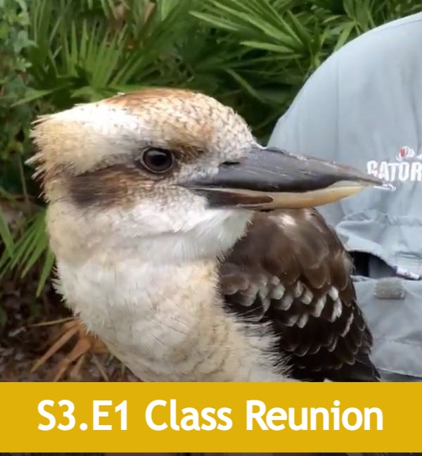 class reunion