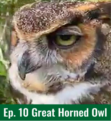 Ep.10