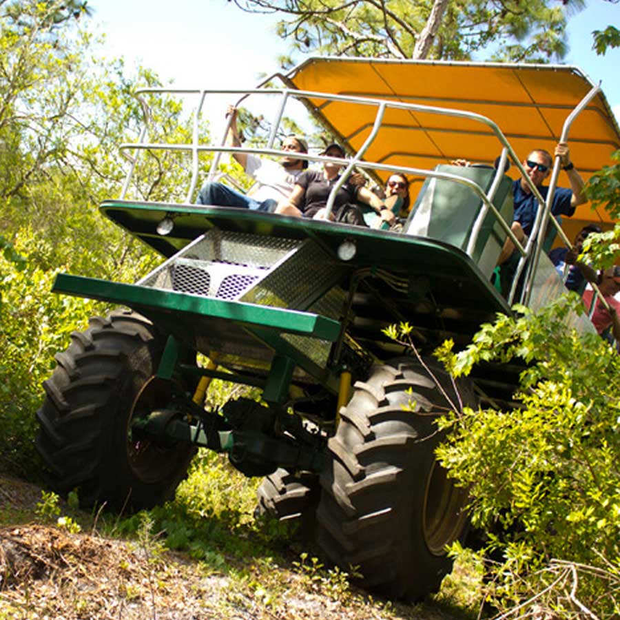 Stompin Gator Off-road adventure image of buggy