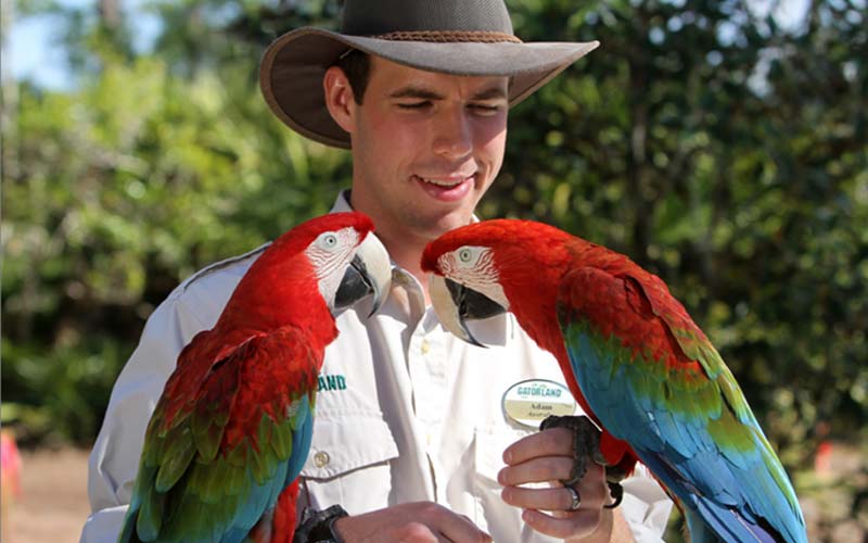 Birds | Gatorland | Orlando Florida Family Adventure Theme Park