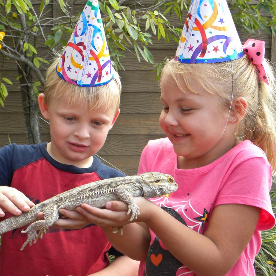 Birthdays | Gatorland | Orlando Florida Family Adventure Theme Park