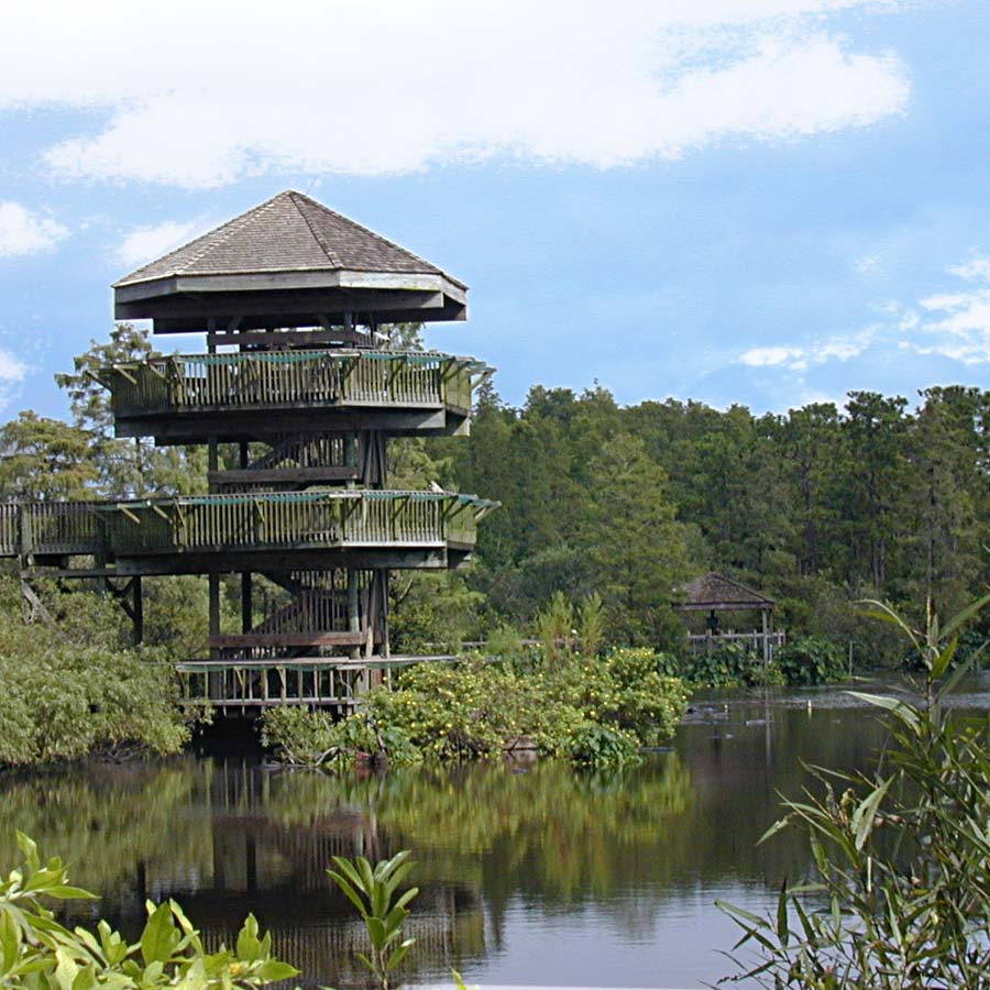 Breeding Marsh & Tower | Gatorland | Orlando Florida Family Adventure Theme Park
