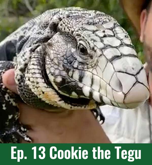 Ep.13