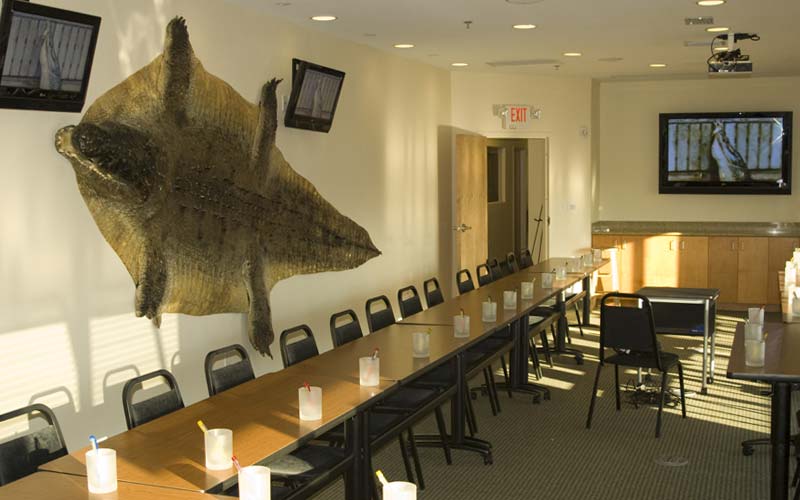 Meeting Rooms