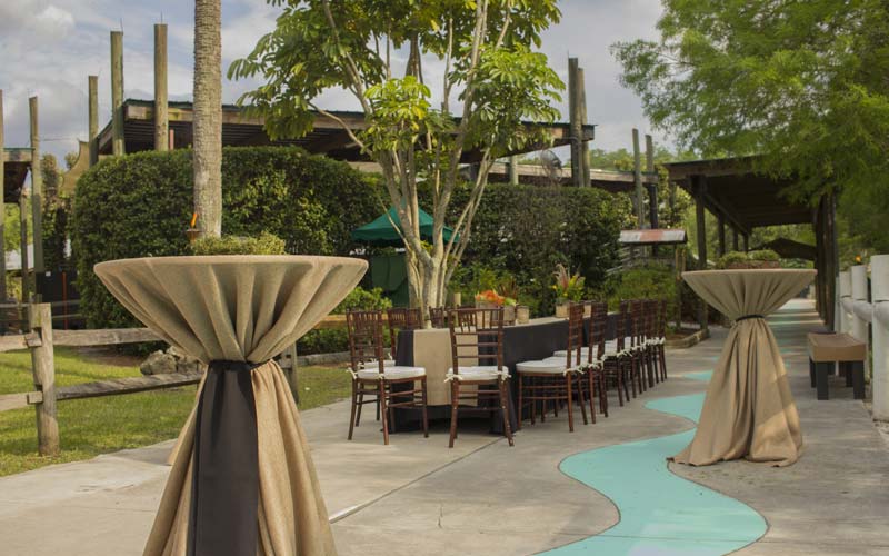 Corporate Events at Gatorland