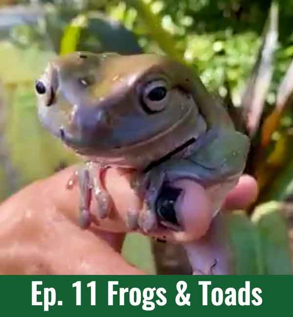 Ep.11