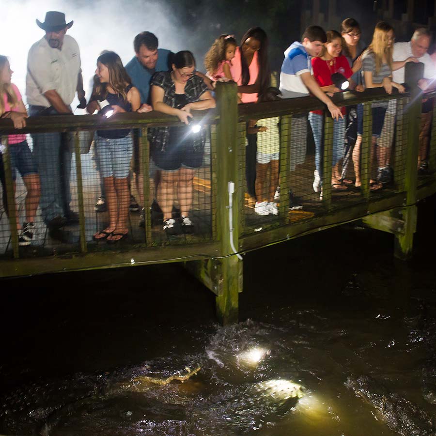 People enjoying Gator Night Shine