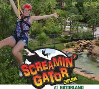 Screamin’ Gator Zipline at Gatorland
