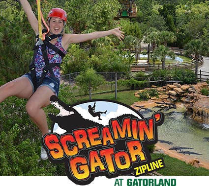 Screamin’ Gator Zipline at Gatorland