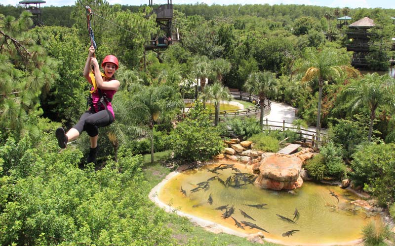 Girl screams as she ziplines ov er a lake full of alligators at Gatorland