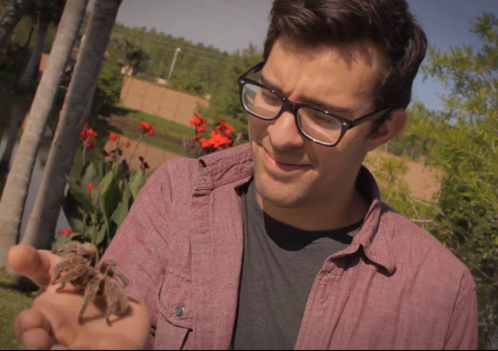 Man holds a tarantula spider at the Upclose show
