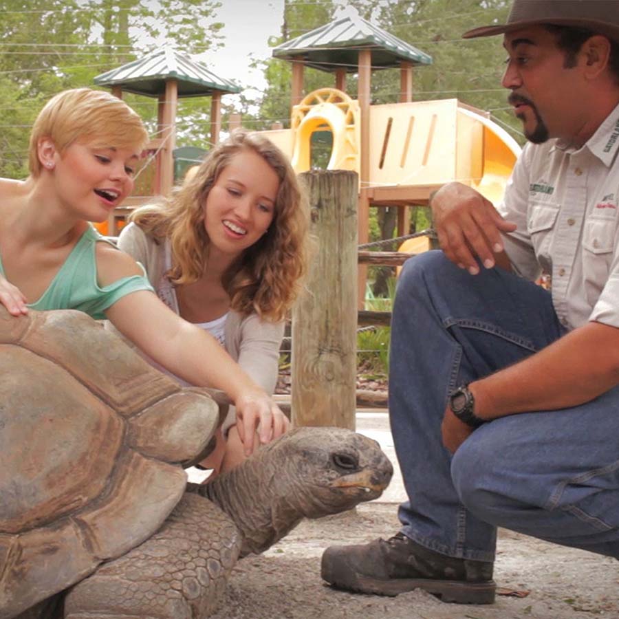 Trainer-For-A-Day - guest with giant tortoise
