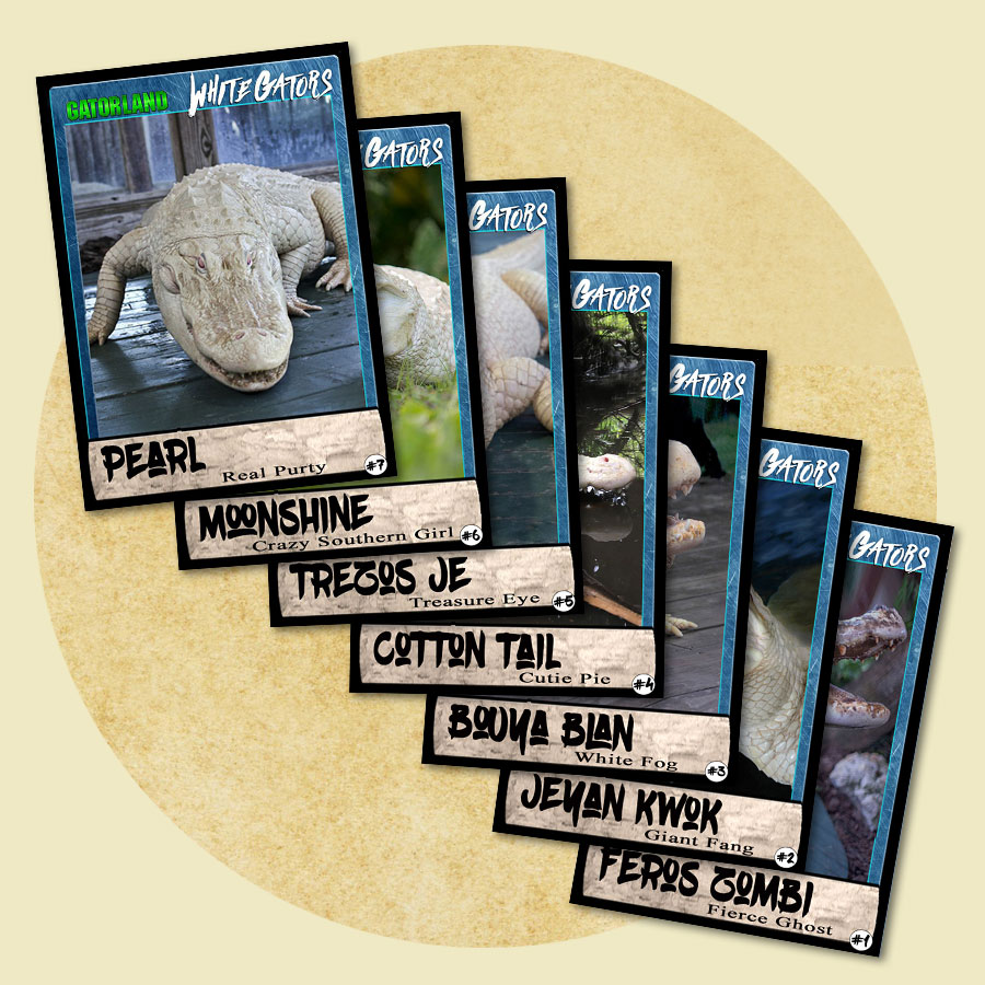 White Gator Trading Cards | Gatorland | Orlando Florida Family Adventure Theme Park